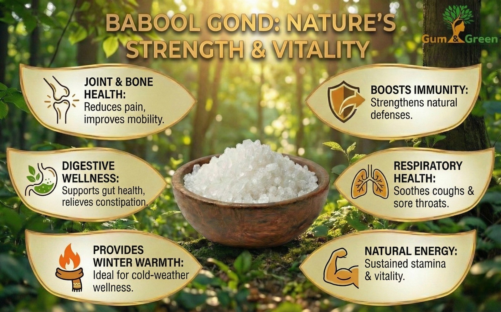 Babool Gond – Strength & Vitality Naturally - Image 3