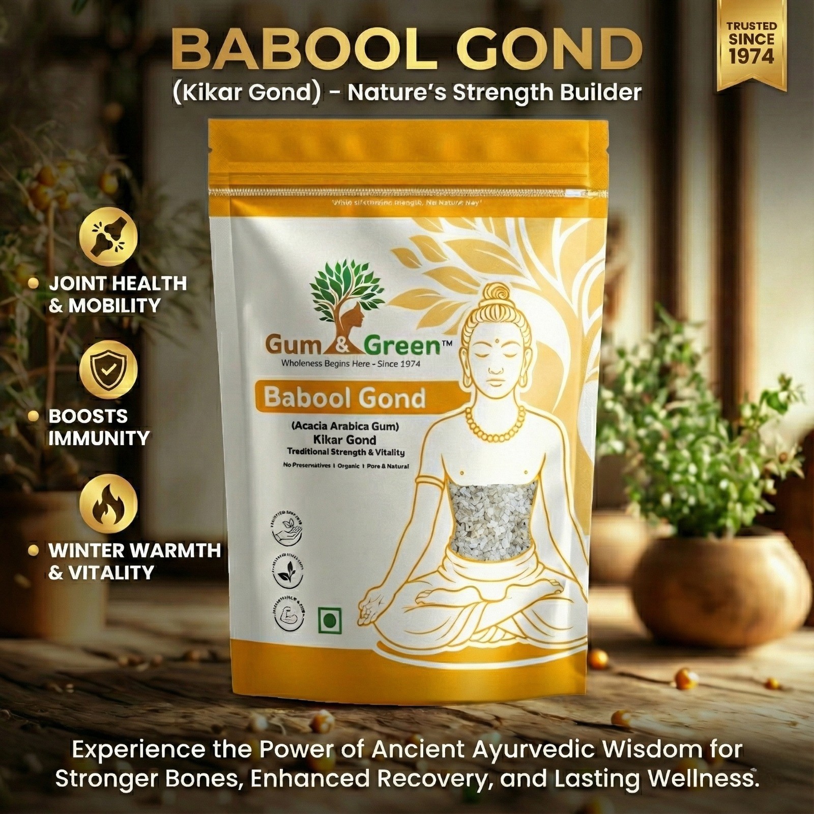 Babool Gond – Strength & Vitality Naturally - Image 2